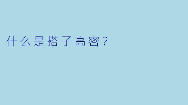 什么是搭子高密？