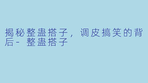 揭秘整蛊搭子，调皮搞笑的背后-整蛊搭子