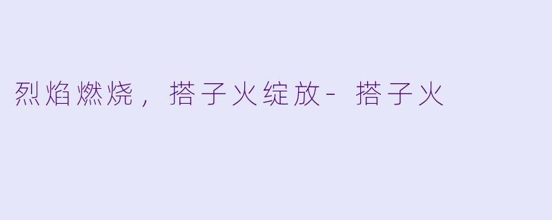 烈焰燃烧，搭子火绽放-搭子火