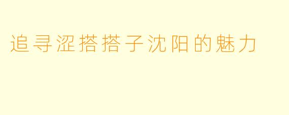 追寻涩搭搭子沈阳的魅力