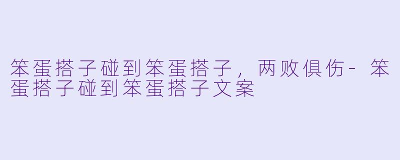 笨蛋搭子碰到笨蛋搭子，两败俱伤-笨蛋搭子碰到笨蛋搭子文案