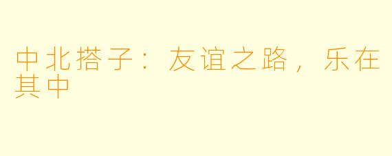 中北搭子：友谊之路，乐在其中