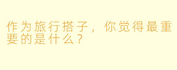 作为旅行搭子，你觉得最重要的是什么？