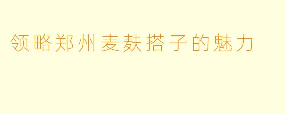 领略郑州麦麸搭子的魅力