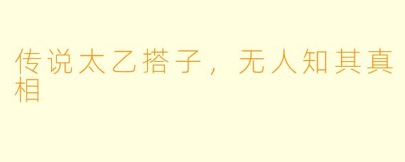 传说太乙搭子，无人知其真相