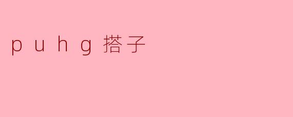 探寻PUHG搭子的魅力