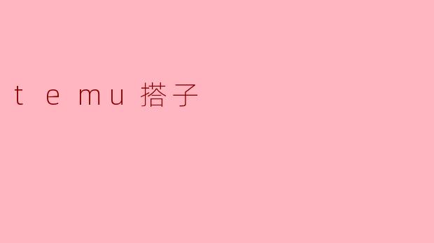 探寻“temu搭子”的魅力