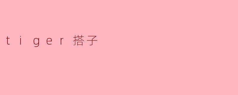 什么是tiger搭子？