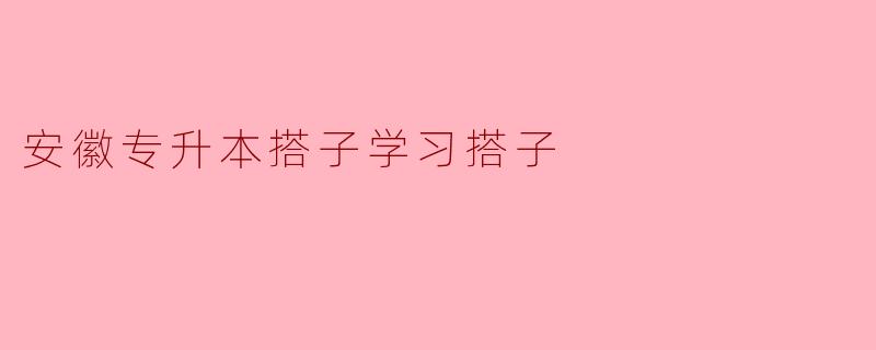 什么是安徽专升本搭子学习搭子？