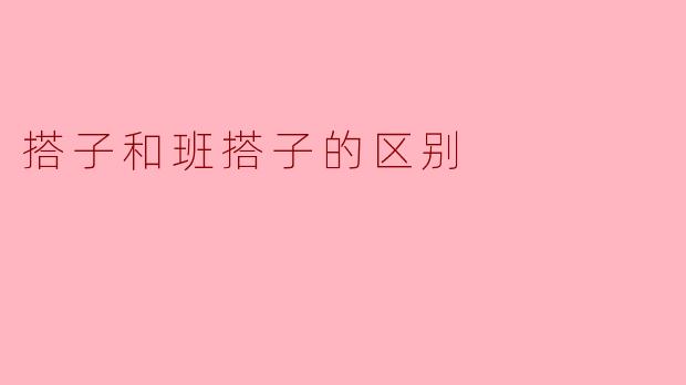 搭子和班搭子的区别