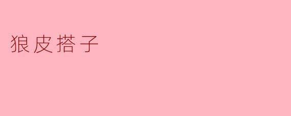 狼皮搭子