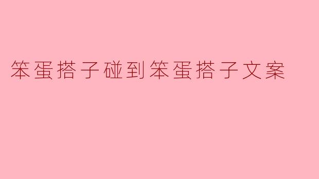 笨蛋搭子碰到笨蛋搭子文案