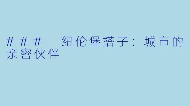 ### 纽伦堡搭子：城市的亲密伙伴