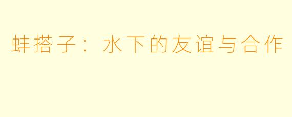 蚌搭子：水下的友谊与合作