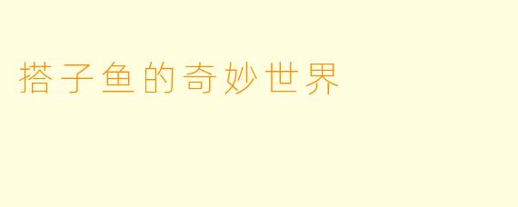 搭子鱼的奇妙世界