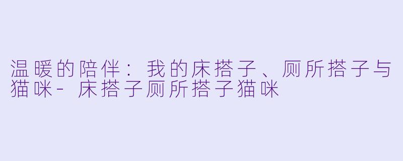 温暖的陪伴：我的床搭子、厕所搭子与猫咪-床搭子厕所搭子猫咪