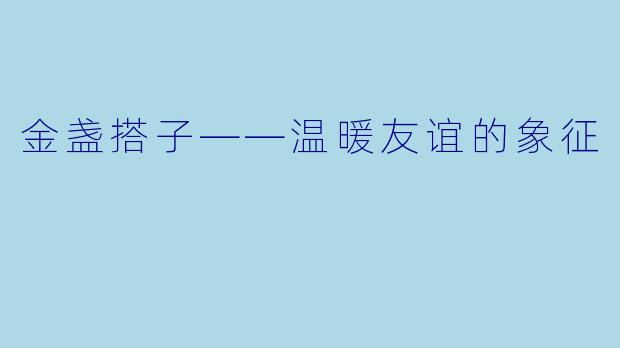 金盏搭子——温暖友谊的象征