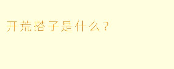 开荒搭子是什么？