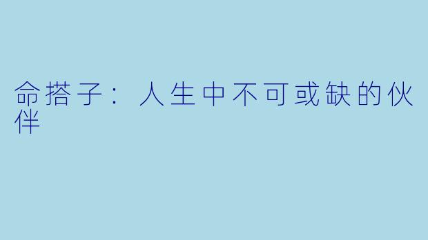 命搭子：人生中不可或缺的伙伴