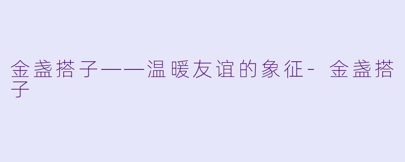 金盏搭子——温暖友谊的象征
