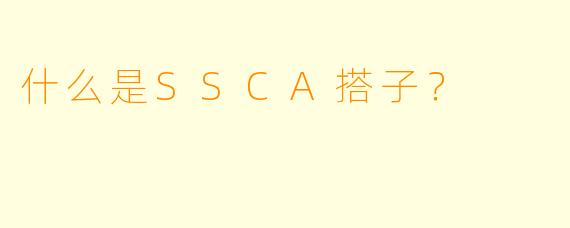 什么是SSCA搭子?