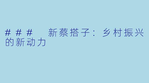 ### 新蔡搭子:乡村振兴的新动力