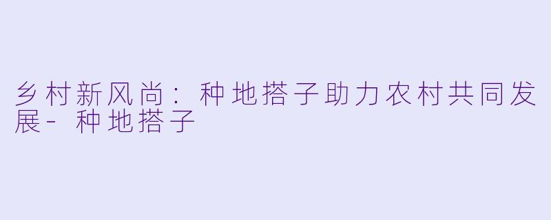 乡村新风尚：种地搭子助力农村共同发展-种地搭子