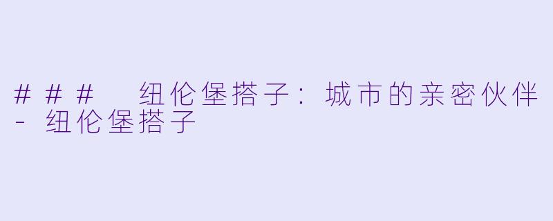 ### 纽伦堡搭子：城市的亲密伙伴-纽伦堡搭子