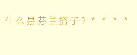 什么是芬兰搭子?****