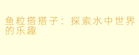 鱼粒搭搭子：探索水中世界的乐趣