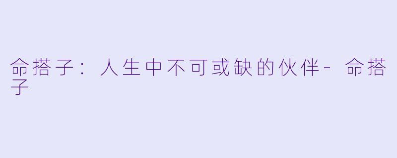 命搭子：人生中不可或缺的伙伴-命搭子