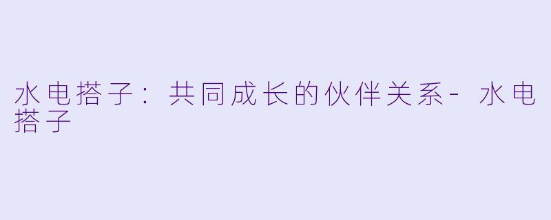 水电搭子：共同成长的伙伴关系-水电搭子