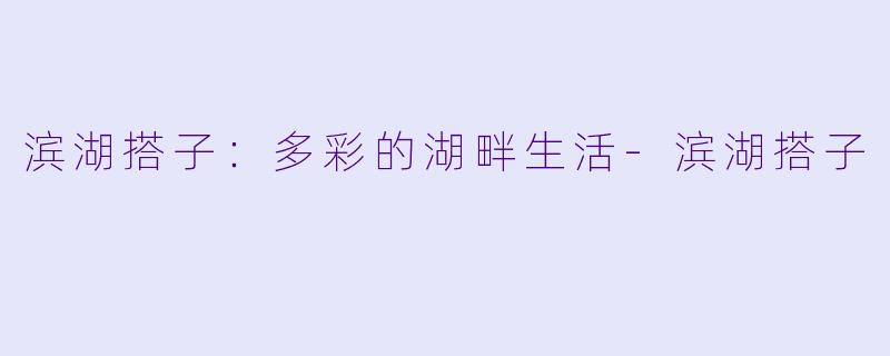 滨湖搭子:多彩的湖畔生活