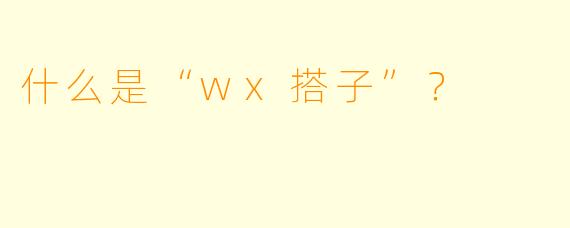 什么是“wx搭子”？  
