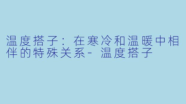 温度搭子：在寒冷和温暖中相伴的特殊关系-温度搭子