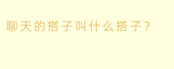 聊天的搭子叫什么搭子？  