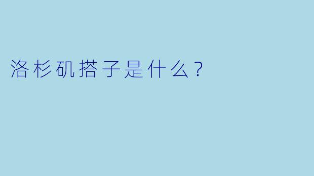 洛杉矶搭子是什么？  