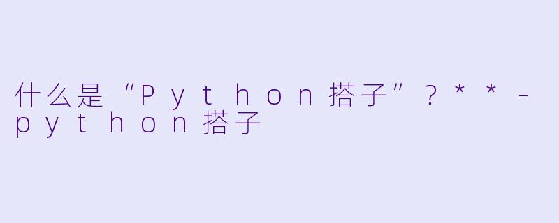 什么是“Python搭子”?**