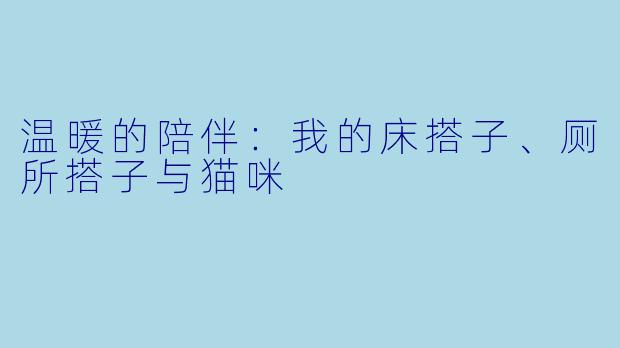 温暖的陪伴：我的床搭子、厕所搭子与猫咪
