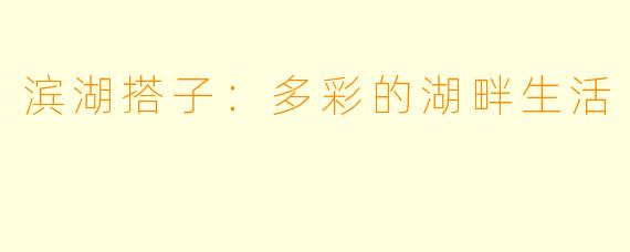 滨湖搭子：多彩的湖畔生活