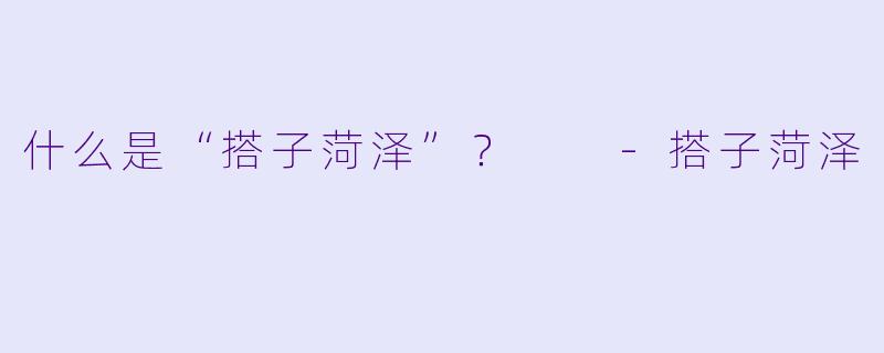 什么是“搭子菏泽”？  