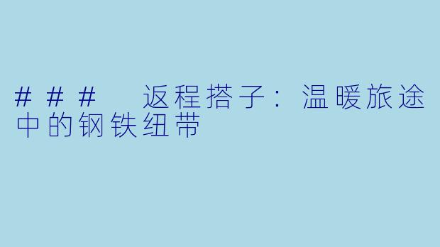 ### 返程搭子：温暖旅途中的钢铁纽带