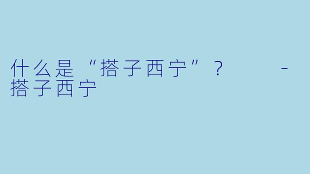 什么是“搭子西宁”？  