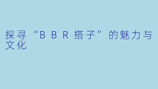 探寻“BBR搭子”的魅力与文化