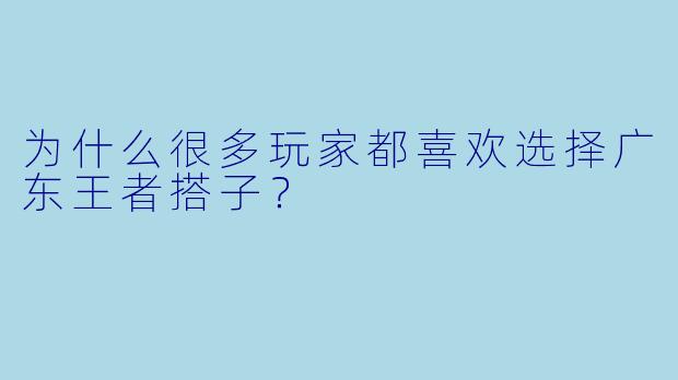 为什么很多玩家都喜欢选择广东王者搭子？