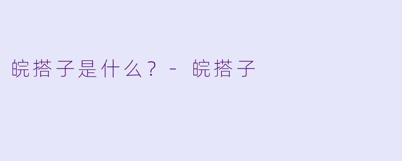 皖搭子是什么？