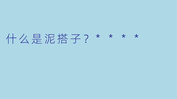 什么是泥搭子？****
