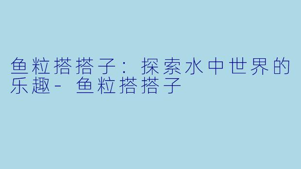 鱼粒搭搭子：探索水中世界的乐趣