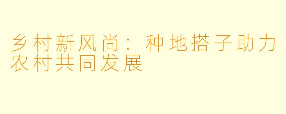 乡村新风尚：种地搭子助力农村共同发展
