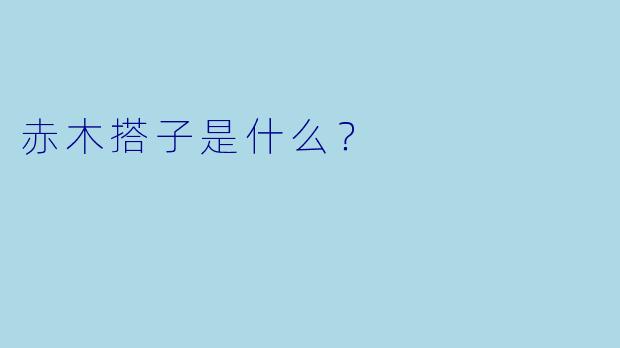 赤木搭子是什么？